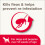 Beaphar Beaphar - Insecticidal Shampoo for Dogs – Kills Fleas Fast & Helps Prevent Flea 2