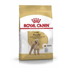 Royal Canin Poodle Adult Dry Dog Food 1.5kg