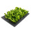 Rosewood Rosewood Snuffle Forage Mat for Small Animals 1