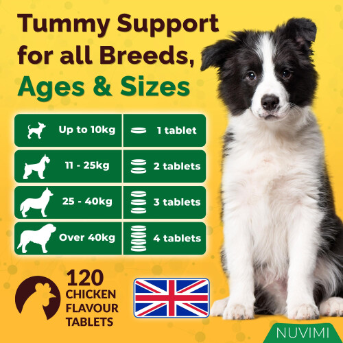 Probiotics for Dogs - Dog Probiotic & Prebiotic Tablets - Digestive Support Supp 1