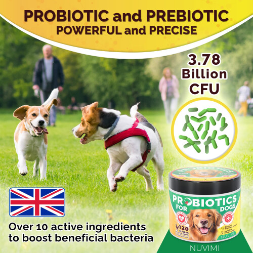 Probiotics for Dogs - Dog Probiotic & Prebiotic Tablets - Digestive Su 1