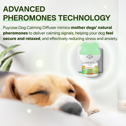 Puyrzoe Dog Calming Pheromones Diffuser with Three Timing Functions, 6 2