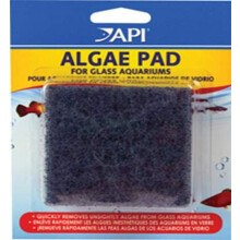 API Hand Held Algae Pad for Glass Aquariums 1-Count Container