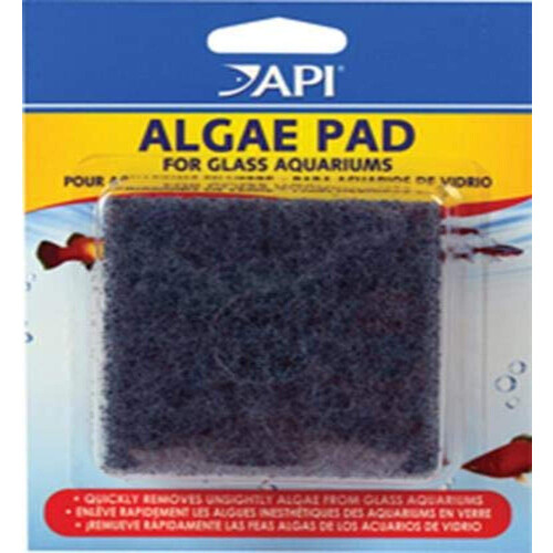 API Hand Held Algae Pad for Glass Aquariums 1-Count Container