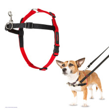 Halti Front Control Harness, Size Small, Bestselling Professional Dog Harness to Stop Pulling on the Lead, Easy to Use, Anti-Pull Training Aid, Front