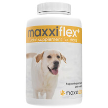 maxxipaws - maxxiflex+ Hip & Joint Supplement for Dogs with Glucosamine, Chondroitin, MSM & Collagen | Mobility & Flexibility Support | Senior, Adult