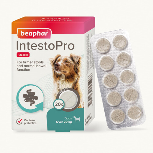 Beaphar Beaphar – IntestoPro Prebiotic Stool Firming Tablets for Medium and Large Dogs ( 1