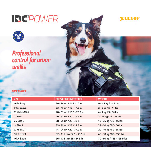 IDC Powerharness, Size: S/Mini, Mixed Heart - Limited Edition 1