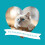 Burgess Burgess Cat, Neutered with Chicken, 3 Kg 2