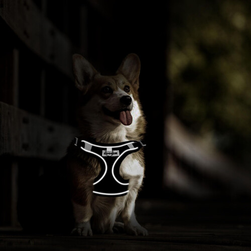 RAFIYU Dog Harness Vest, Adjustable Reflective Step-in Harness Set (S) 2