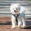 RAFIYU Dog Harness Vest, Adjustable Reflective Step-in Harness Set (S) 5