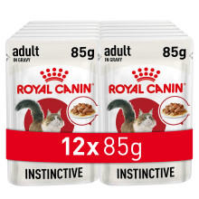 Royal Canin Instinctive Adult Cat Food Gravy Pouch 85g (Pack of 12)