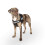 Julius-K9 Dog Harness with Front Control Belt, Black, S/Mini 6