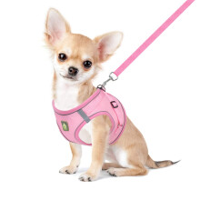 FEimaX Dog Harness and Leash Set for Small Medium Dog Cat No Pull Adjustable Soft Mesh Chihuahua Chest Harness Puppy Reflective Step-in Safety Vest