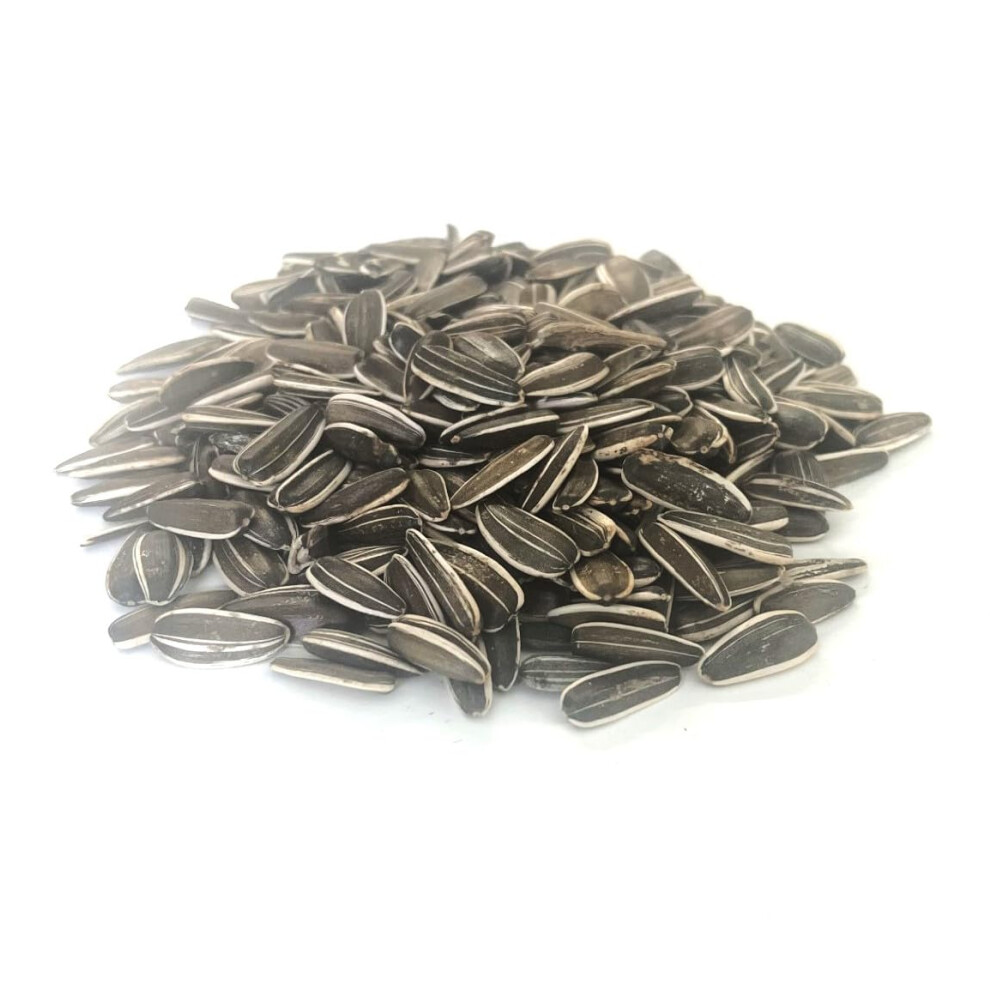 Maltbys' Stores 1904 Ltd 1Kg Medium Sunflower Seeds Cage & Aviary Bird Food Lgds