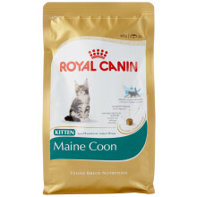 ROYAL CANIN Kitten Maine Coon Dry Food 400g