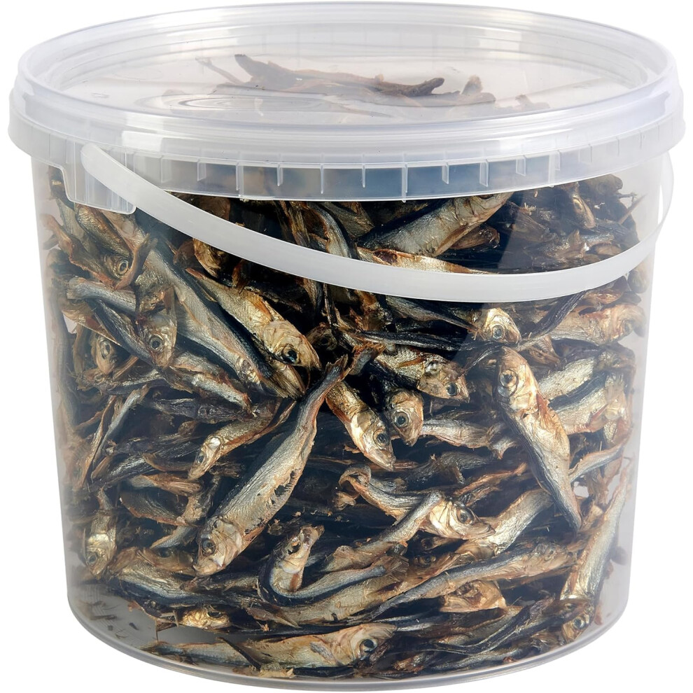 Hungry Pets Premium Fish Sprats Dog Treats, 5L Tub
