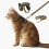 Plutus Pet Adjustable Cat Harness and Lead Set, with Leather Trim 1