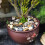 Hisredsun 2.1 lb Decorative Stones,0.4-1 inch 3