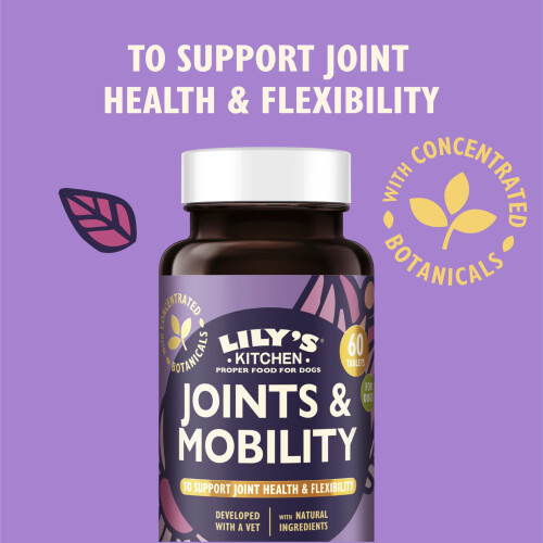 Lily's Kitchen Lily's Kitchen Joints & Mobility Supplements for Dogs (60 tablets) 2