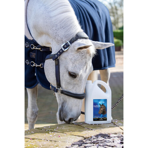 NAF Five Star Oestress Liquid 2L – Hormonal Support for Mares – Natura 2