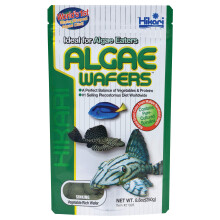 Hikari Algae Wafers [Sng] 250G