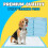 Bazaar Large Puppy Pads 100 Pack Disposable Puppy Training Pads 6