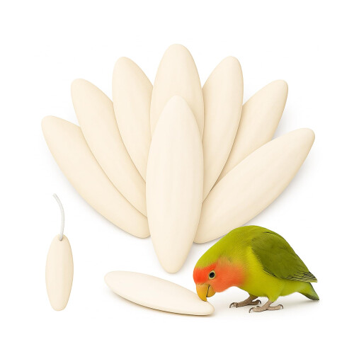 XIANGLONGY 10 Pieces Cuttlefish Bone, Natural Cuttlefish for Birds, 3.