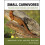 Small Carnivores Hardcover Book 1