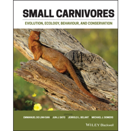 Small Carnivores Hardcover Book