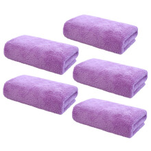 Makeup Remover Towels Set of 5 Soft Microfiber Face Cloths Gentle Wash Pads for Travel and Home Use