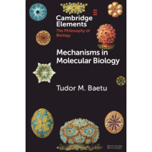 Mechanisms in Molecular Biology by Tudor Baetu Paperback Book