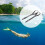 Silicone Dive Mask Strap Replacement Adjustable Durable Scuba Head Band for Comfortable Fit 2