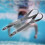 Silicone Dive Mask Strap Replacement Adjustable Durable Scuba Head Band for Comfortable Fit 4
