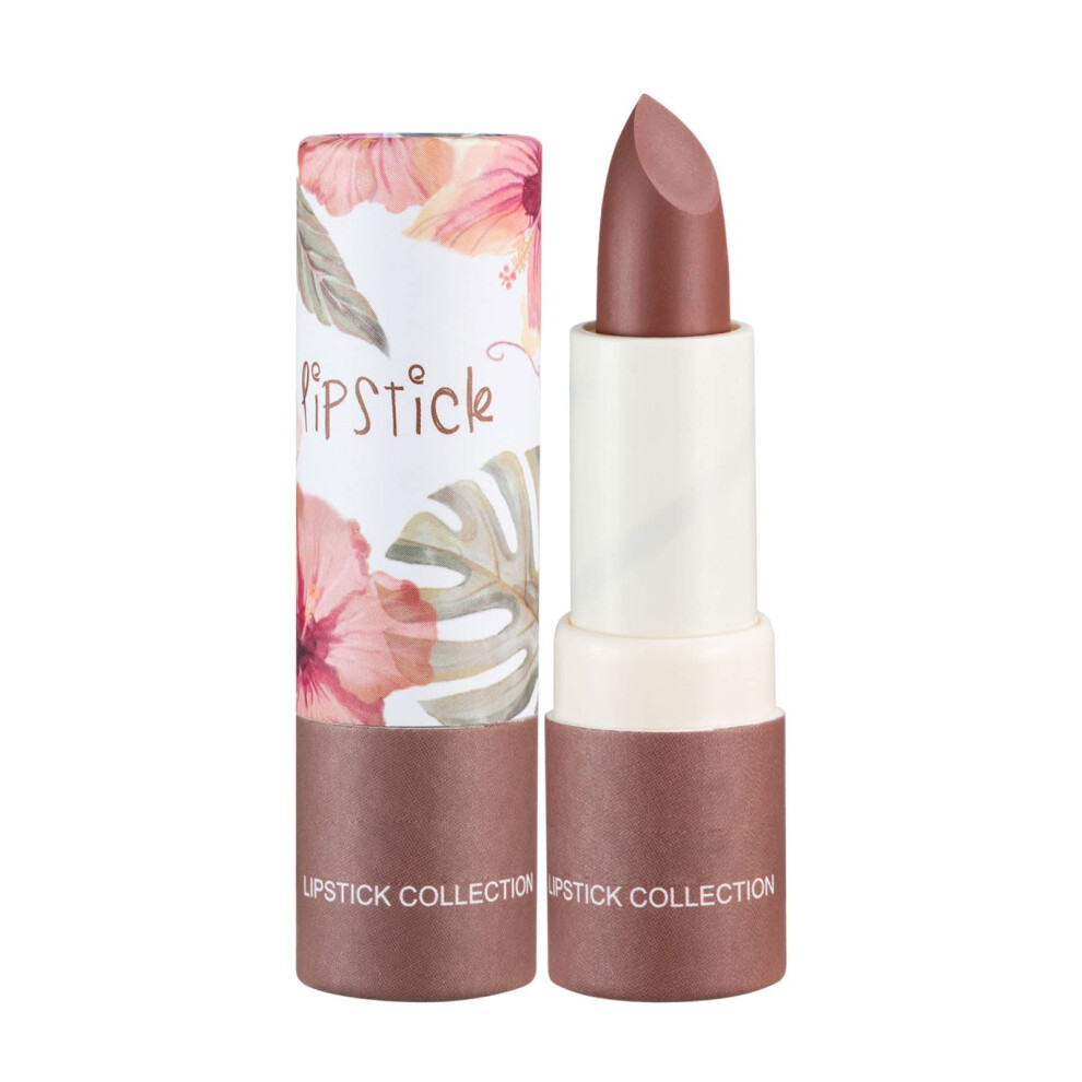 24H Waterproof Nude Lipstick for Women, Long Lasting Moisturizing Velvet Matte Lip Gloss Set (E)