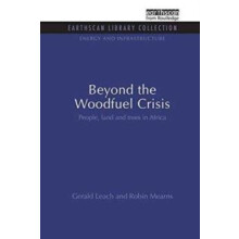 Beyond the Woodfuel Crisis by Robin Mearns Paperback Book