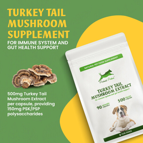 Animal Active Turkey Tail Mushroom for Dogs 90 Capsules with 500mg PSK 1
