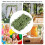 Long Green Leaf Vine for DIY Projects 7