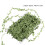 Long Green Leaf Vine for DIY Projects 3