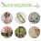 Long Green Leaf Vine for DIY Projects 10