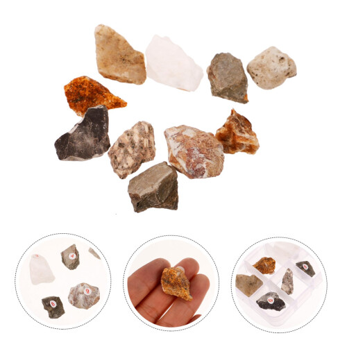 Rock Specimen Kit 10pcs Educational Mineral Rock Samples for Students and Geology Display 2