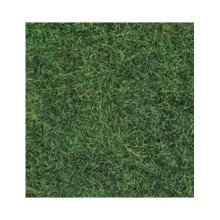 Modellismo ferroviario - NOCH - Erbe selvatiche verde chiaro (50 g) - Bambino - Età minima 14 anni