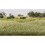All Game Terrain 6583 7 mm Light Green Static Grass Wargaming Miniature Base etc 2