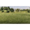 All Game Terrain 6584 7 mm Medium Green Static Grass Wargaming Miniature Base + 2