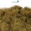 WWScenics 4mm Patchy Static Grass - 500ml Canister Model Rail Scenics G4-044 2