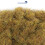 WWScenics 6mm Patchy Static Grass - 500ml Canister Model Rail Scenics G6-044 2