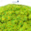 WWScenics 2mm Spring Static Grass - 500ml Canister Model Rail Scenics G2-008 2