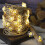Bee String Lights USB and Battery Powered Fairy Lights with Remote Timer 10Ft 30LED Honeybee Decor 2