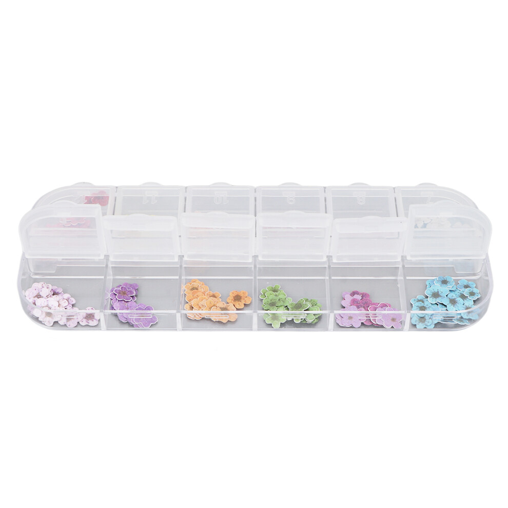 Long-Lasting 3D Nail Art Stickers Featuring Real Dried Mini Flowers In Multi-Use Kit With Independent Compartments Suitable For Professional Use At