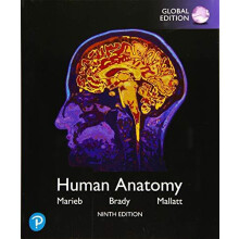 Human Anatomy Global Edition by Jon Mallatt Paperback Book